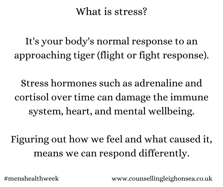 What Is Stress